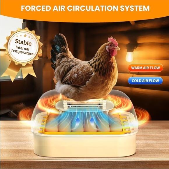 30 Egg Incubator with Humidity Display, Egg Candler, Automatic Egg Turner - Picture 2 of 8